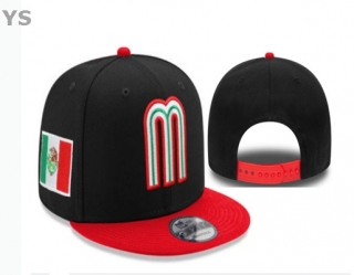 Mexico Snapback Hat (34)