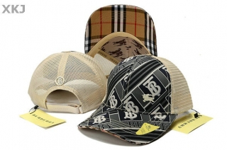 Burberry Snapback Hat (29)