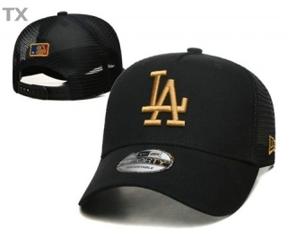 MLB Los Angeles Dodgers Snapback Hat (520)