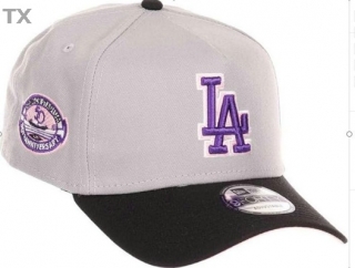 MLB Los Angeles Dodgers Snapback Hat (576)