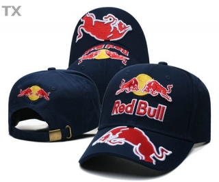 Red Bull Snapback Hat (65)