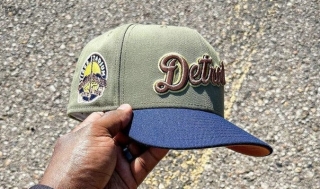 MLB Detroit Tigers Snapback Hat (89)