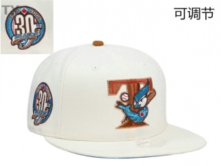 MLB Texas Rangers Snapback Hat (73)