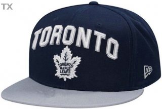 MLB Toronto Blue Jays Snapback Hat (123)