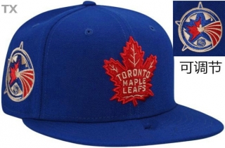 MLB Toronto Blue Jays Snapback Hat (125)
