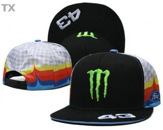 Monster Snapback Hat (36)