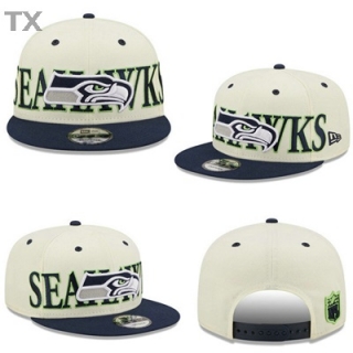 NFL Philadelphia Eagles Snapback Hat (316)