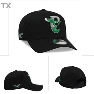NFL Philadelphia Eagles Snapback Hat (333)