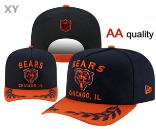 NFL Chicago Bears Snapback Hat (181)