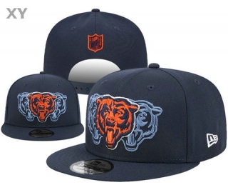 NFL Chicago Bears Snapback Hat (181)