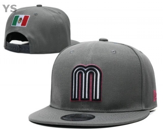 Mexico Snapback Hat (39)
