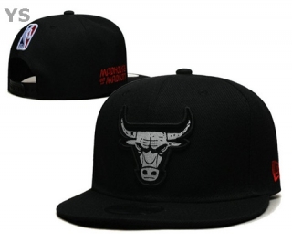 NBA Chicago Bulls Snapback Hat (14)