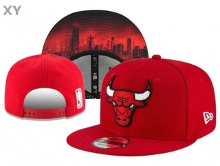 NBA Chicago Bulls Snapback Hat (23)