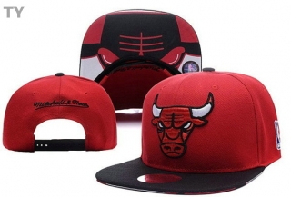 NBA Chicago Bulls Snapback Hat (39)