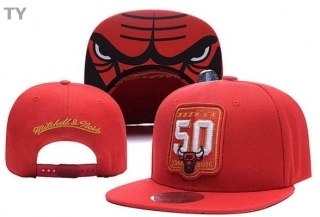 NBA Chicago Bulls Snapback Hat (64)