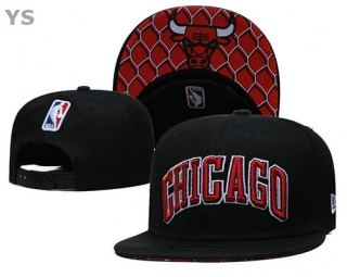 NBA Chicago Bulls Snapback Hat (68)