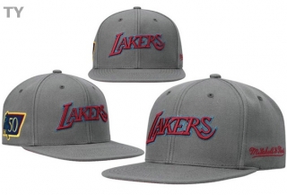NBA Los Angeles Lakers Snapback Hat (45)