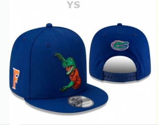 NCAA Florida Gators Snapback Hat (35)