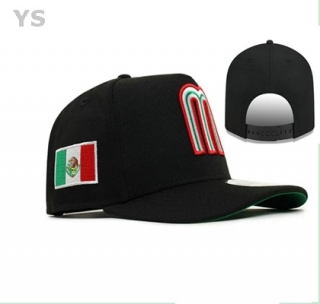 Mexico Snapback Hat (46)