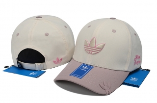 AD Snapback Hat (30)