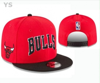 NBA Chicago Bulls Snapback Hat (77)