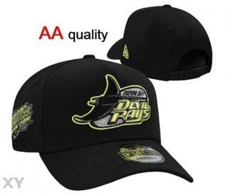 MLB Tampa Bay Rays Snapback Hat (22)