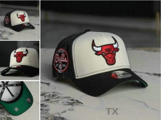 NBA Chicago Bulls Snapback Hat (91)