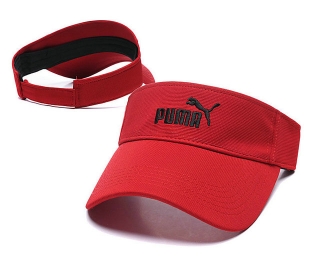 Puma Cap (2)