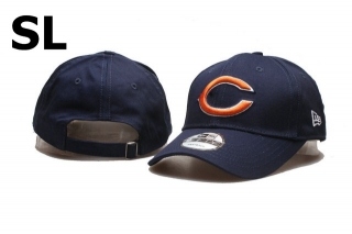 NFL Chicago Bears Snapback Hat (131)