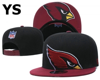 NFL Arizona Cardinals Snapback Hat (71)
