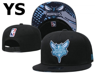 NBA Charlotte Hornets Snapback Hat (89)