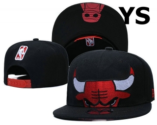 NBA Chicago Bulls Snapback Hat (1273)