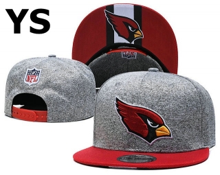NFL Arizona Cardinals Snapback Hat (77)