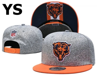 NFL Chicago Bears Snapback Hat (137)