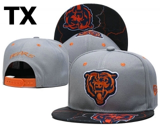 NFL Chicago Bears Snapback Hat (139)