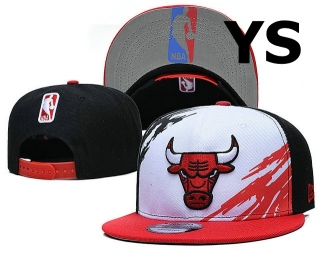 NBA Chicago Bulls Snapback Hat (1282)