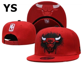NBA Chicago Bulls Snapback Hat (1289)