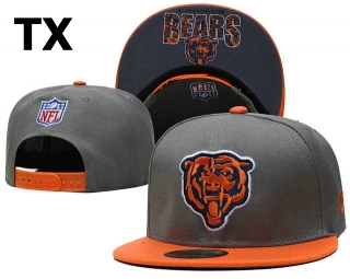 NFL Chicago Bears Snapback Hat (146)