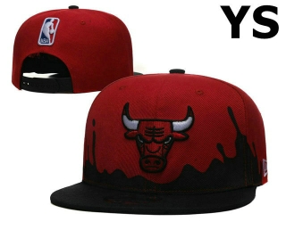 NBA Chicago Bulls Snapback Hat (1323)