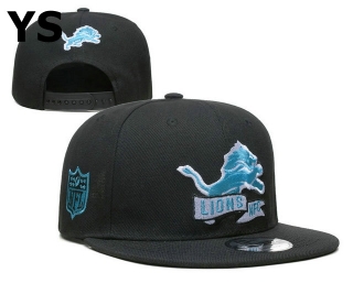 NFL Detroit Lions Snapback Hat (95)