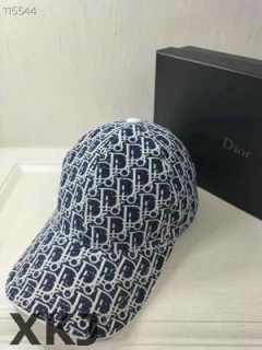 Dior Hat AAA Quality (61)